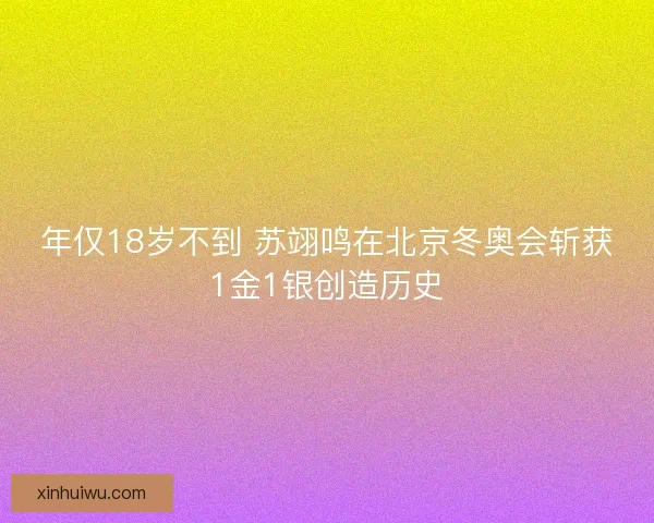 年仅18岁不到 苏翊鸣在北京冬奥会斩获1金1银创造历史